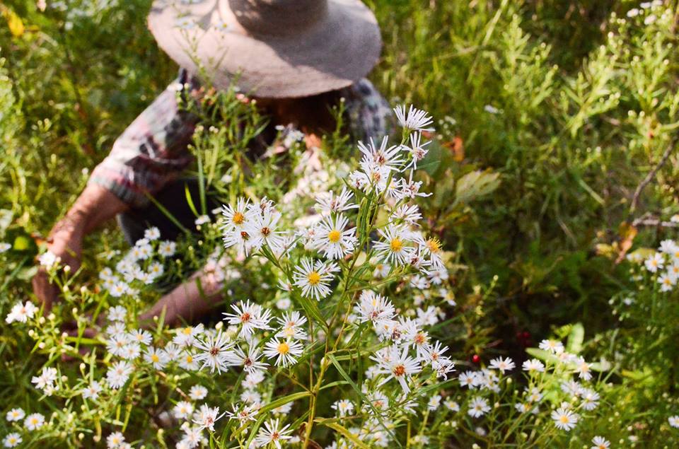 Indigenous Forest Gardening