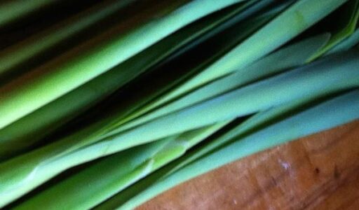 The Sacred Gardener Cattail Raita