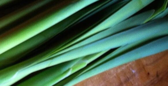 Cattail Raita