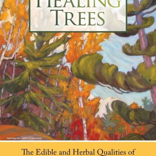 The Healing Trees by Robbie Anderman