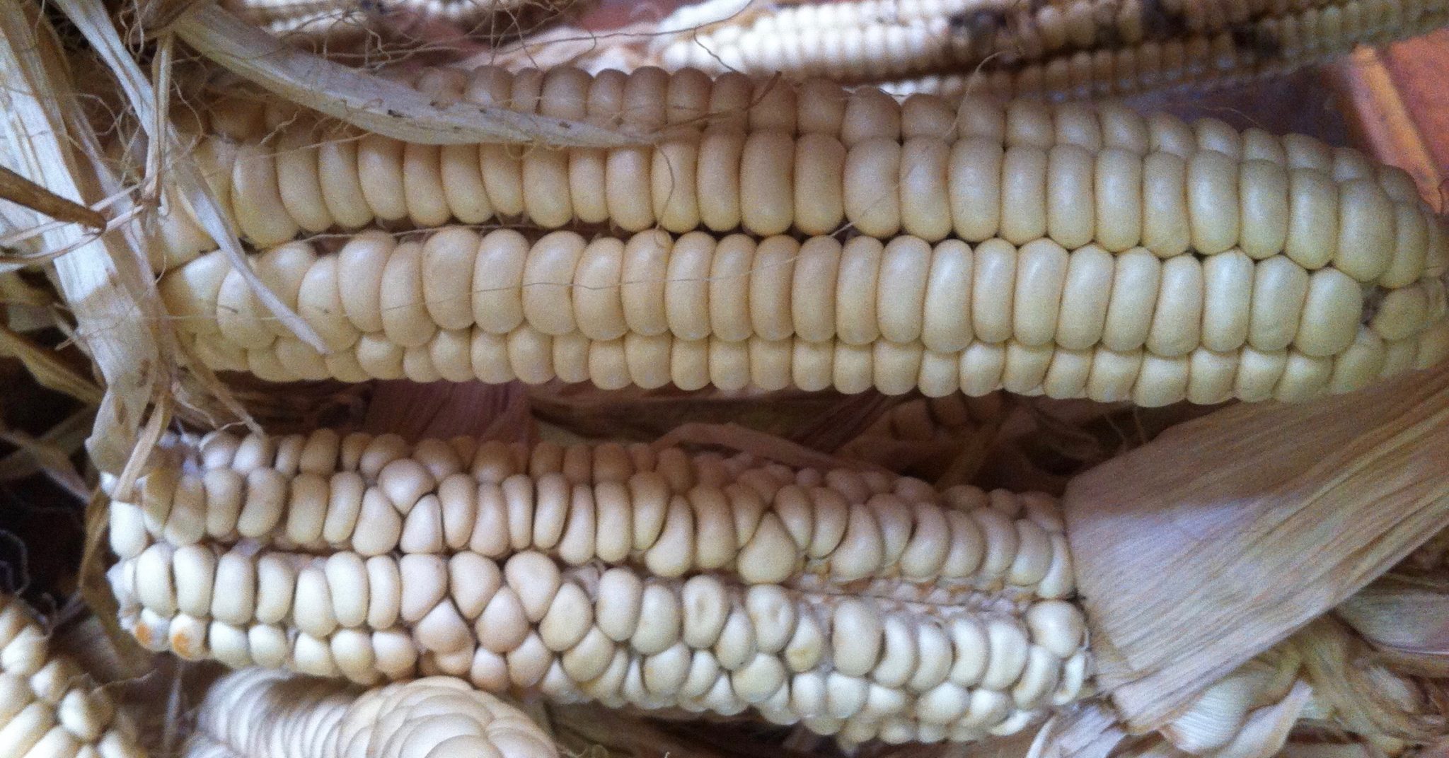 The Bright Eyes of Divinity; Jewels at the Heart of Existence