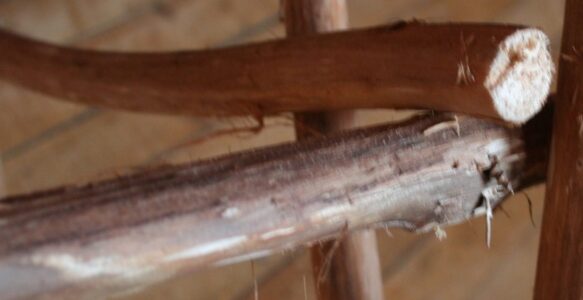 Laying down the Bones; making a rustic chair