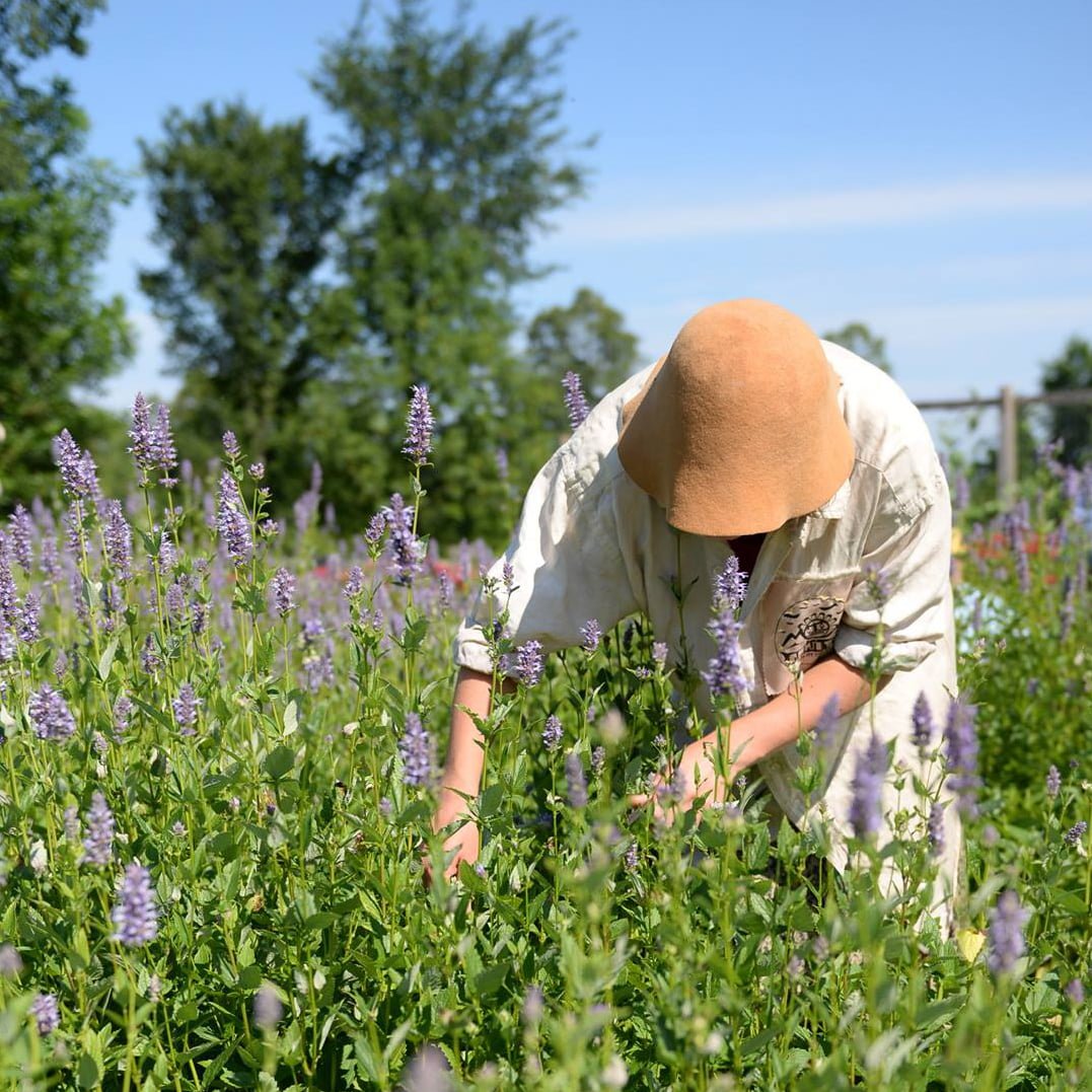 The Sacred Gardener