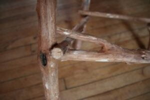 legdetail