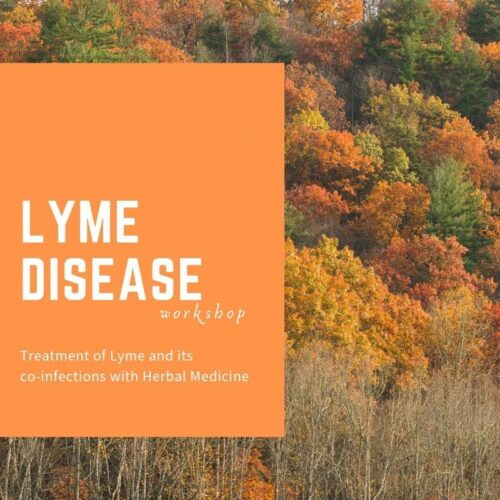 Lyme Disease Herbal Protocol