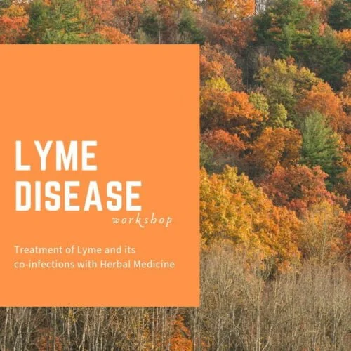 Herbal Treatment of Lyme Disease and Co-infections