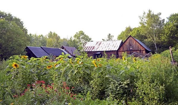 The Sacred Gardener Farm