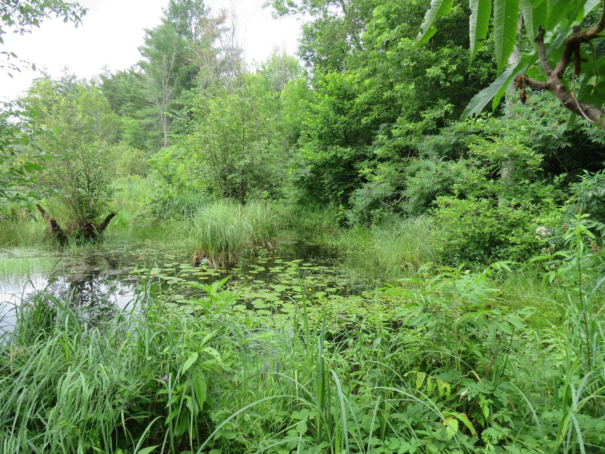 Sacred Gardener School 2026 - Image 7