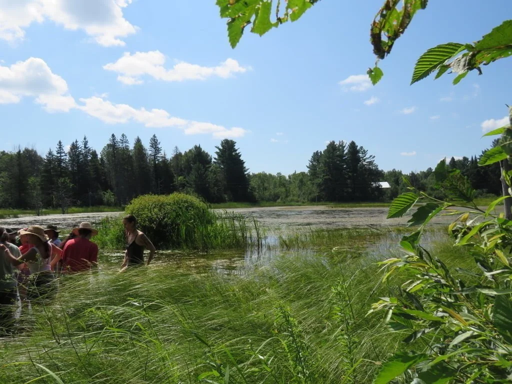 Sacred Gardener School 2026 - Image 8