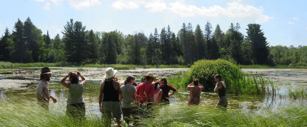 Sacred Gardener School 2026