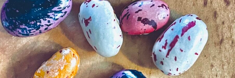 Beans, Beans the Magical Fruit