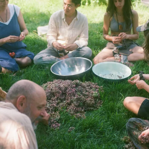 Those Who Came to Bask in Eternity:  Second School year, 2026