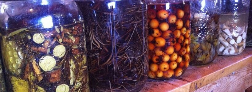 The Herbalist’s Dilemma: “To be sick or not to be sick, that is the question.”