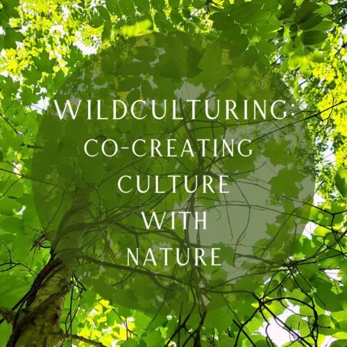 Wildculturing: an Introduction to the Fundamental Concepts