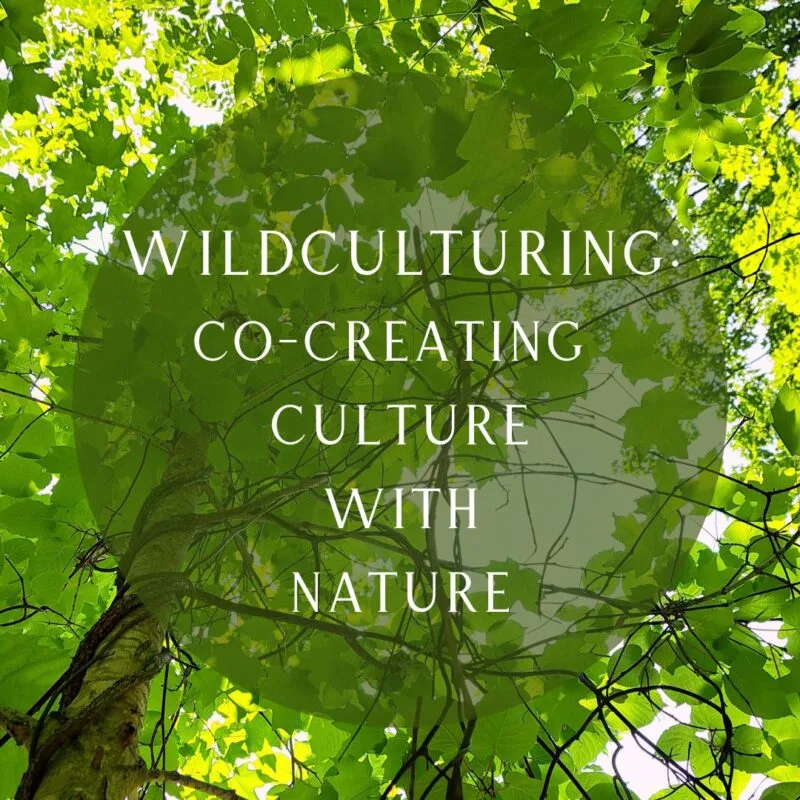 Wildculturing: an Introduction to the Fundamental Concepts